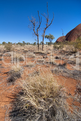 Uluru, Ayers Rock, Northern Territory, Australia, August 2009