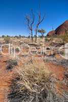 Uluru, Ayers Rock, Northern Territory, Australia, August 2009