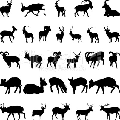 deer and goats silhouettes set