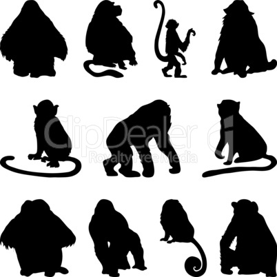 apes silhouettes set
