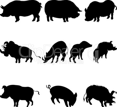 pigs and boars silhouettes set