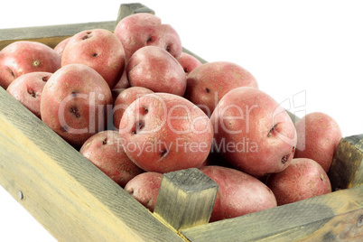 Red mini potatoes in crate.