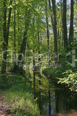 Kleiner Fluss im Osnabrücker Land