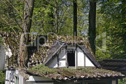 Kleines Fachwerkhaus mit Baum