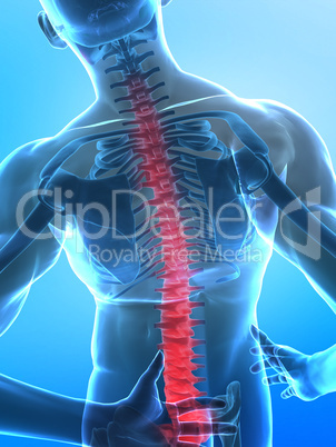 Pain in spine