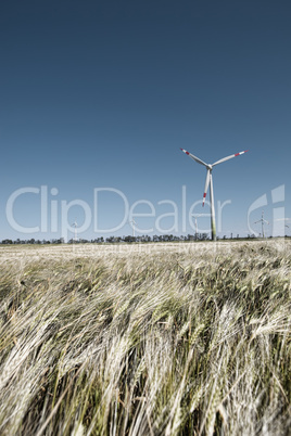 Wind mill in grain