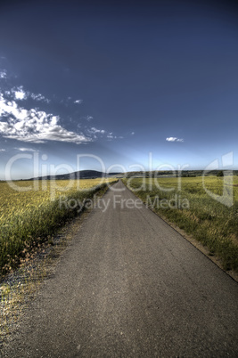 Asphalt road through field