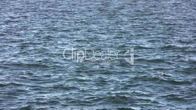 Water Surface Background.