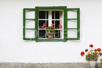 Grünes Fenster