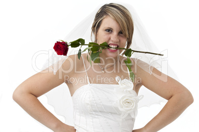 schöne Braut hält eine roten Rose mit den Zähnen