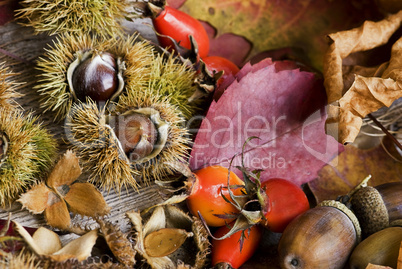 Herbst Stilleben