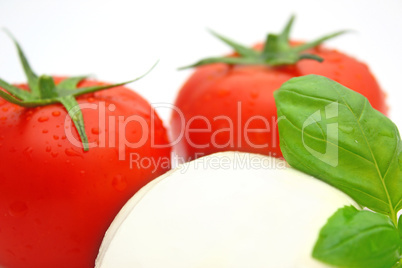 Tomate Mozzarella Tomate Mozzarella
