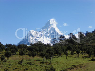 Ama Dablam