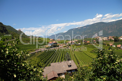 Weinregion Südtirol