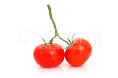 Tomaten