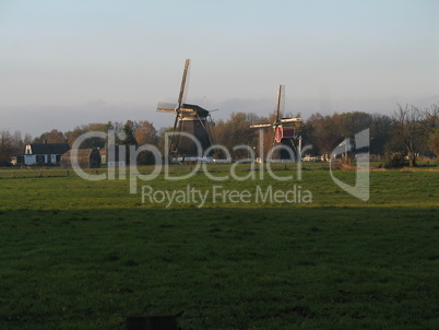 Dutch mills in a green field