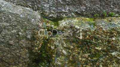 Fresh water source flowing among stones