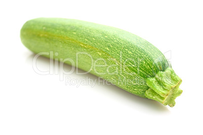 Zucchini