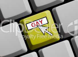 Gay - Homosexualität online