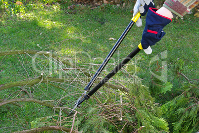 Baum verschneiden - tree cutting 22