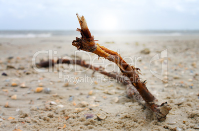 Ein idyllischer Tag am Strand