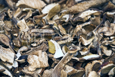 Dried Boletus Mushrooms, Lucca, Italy