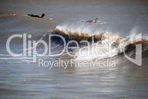 Surfer in Galveston, Texas, 2008