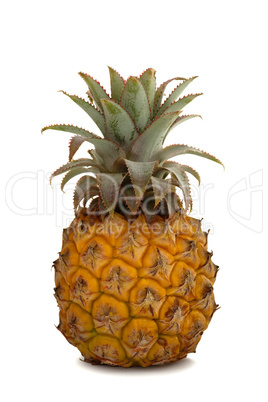 Ananas