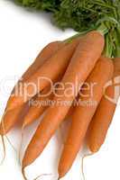 Karotten frisch vom Markt