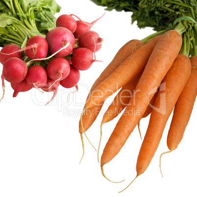 Radischen und Karotten vom Markt