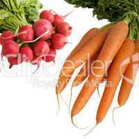 Radischen und Karotten vom Markt
