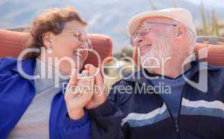 Happy Senior Adult Couple