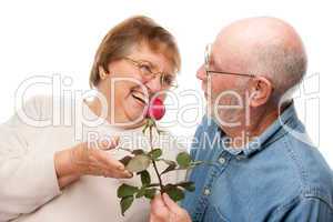 Happy Senior Couple with Red Rose