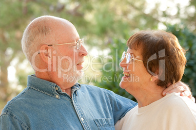 Happy Senior Couple Outdoor Portrait