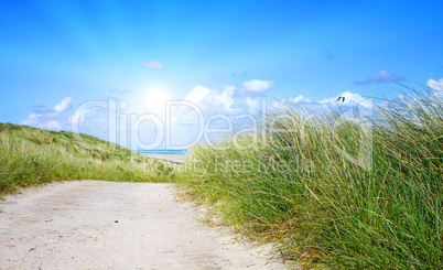 Ein idyllischer Tag im Sommer an der Nordsee