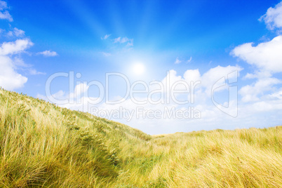 Idyliische Sommerlandschaft an der Nordsee