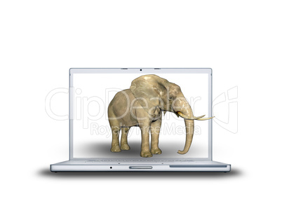 3d Elefant auf Laptop