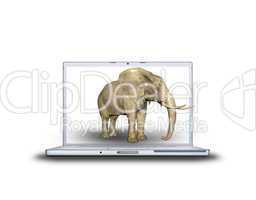 3d Elefant auf Laptop