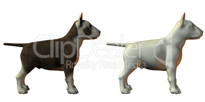 bull terrior dog 3d model