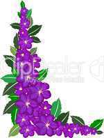 violetter blumen rahmen