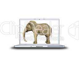 3D elephant on laptop