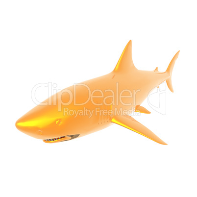 shark isolated on a white