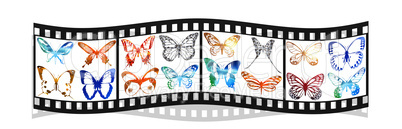 film with bright metal butterfly isolated on white