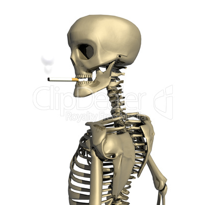 3D skull with cigarette