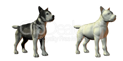 malamute dog 3d model