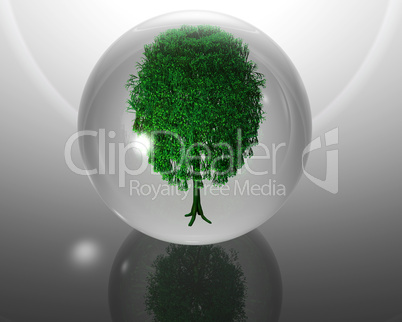 green ecological tree in glass orb on grey back