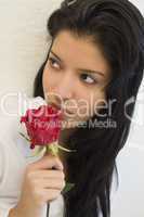 Latin Rose