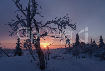 Sonnenuntergang im Winter