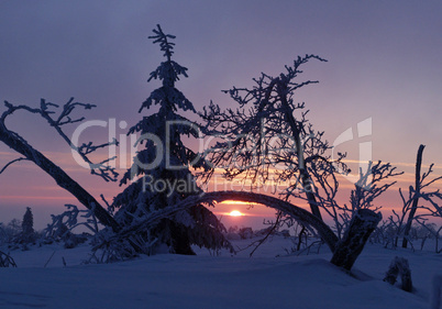 Sonnenuntergang im Winter