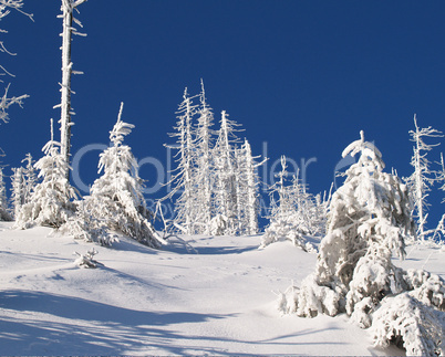 skurile Winterlandschaft